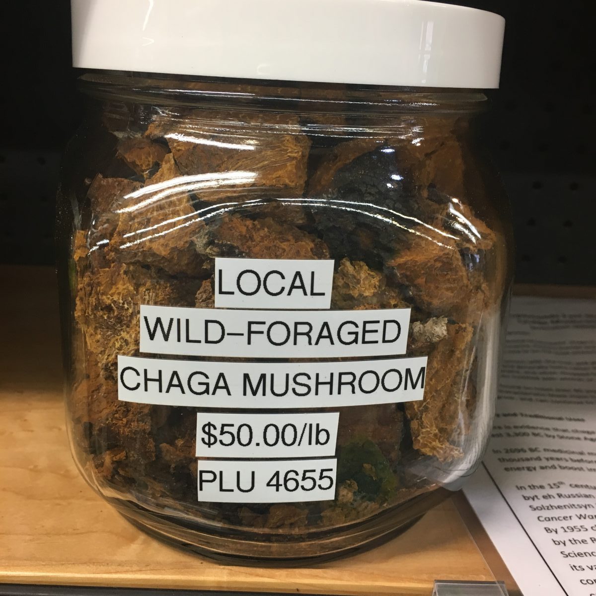 Chaga Mushroom