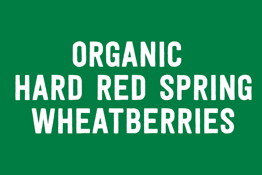 Organic Hard Red Spring Wheatberries